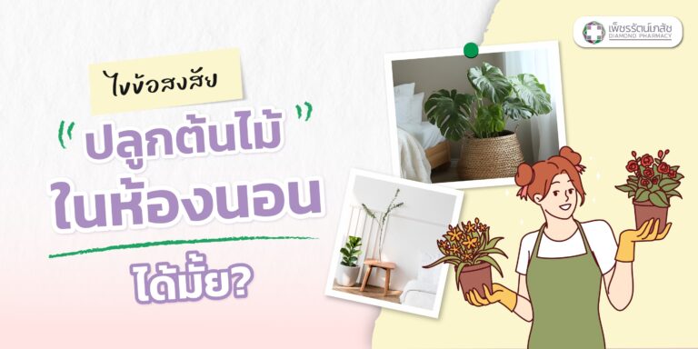 ปลูกต้นไม้ในห้องนอน